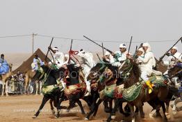 Image du Maroc Professionnelle de  Course typiquement marocaine dite ''la Fantasia'' organisé dans un site désertique sur lequel la ville de Tan Tan a toujours accueilli la majorité des tribus et des grandes familles nomades du désert lors d'un grand moussem, Samedi 24 Mars 2012. (Photo / Abdeljalil Bounhar)

 